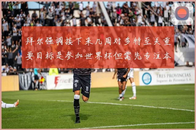 拜尔强调接下来几周对多特至关重要目标是参加世界杯但需先专注本赛季表现
