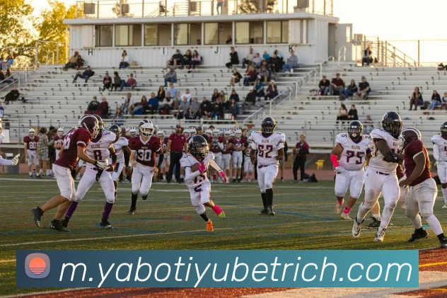 亚博体育APP 封面图